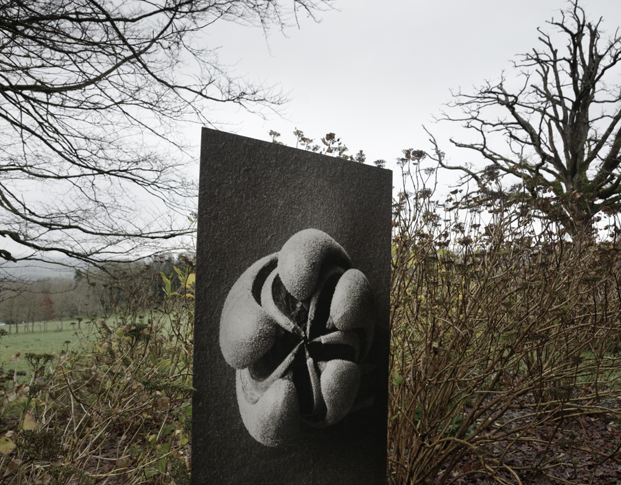 photographies art Pierre Lucas photographe art Pierre Lucas